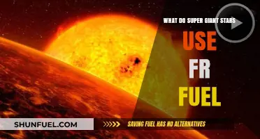 Super Giant Stars: Unveiling Their Cosmic Fuel Sources