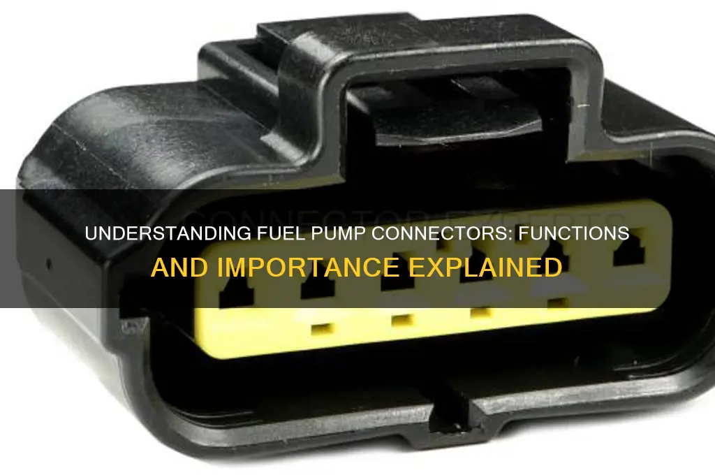 what do the connectors ri the fuel pump do