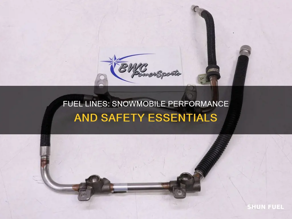 what do the fuel lines do for a snowmobile