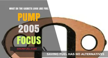 2005 Ford Focus Fuel Pump Gaskets: Appearance and Identification Guide
