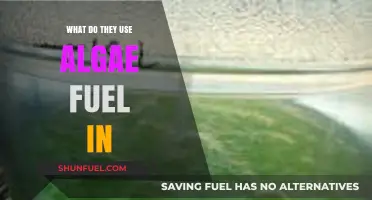 Algae Fuel Applications: Industries and Uses for Sustainable Energy Solutions