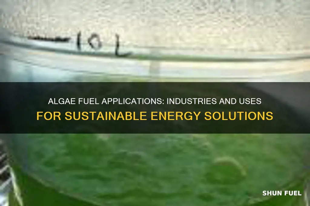 what do they use algae fuel in