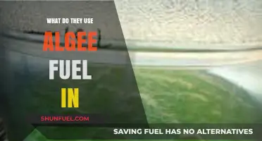 Algae Fuel Applications: Industries and Uses for Sustainable Energy