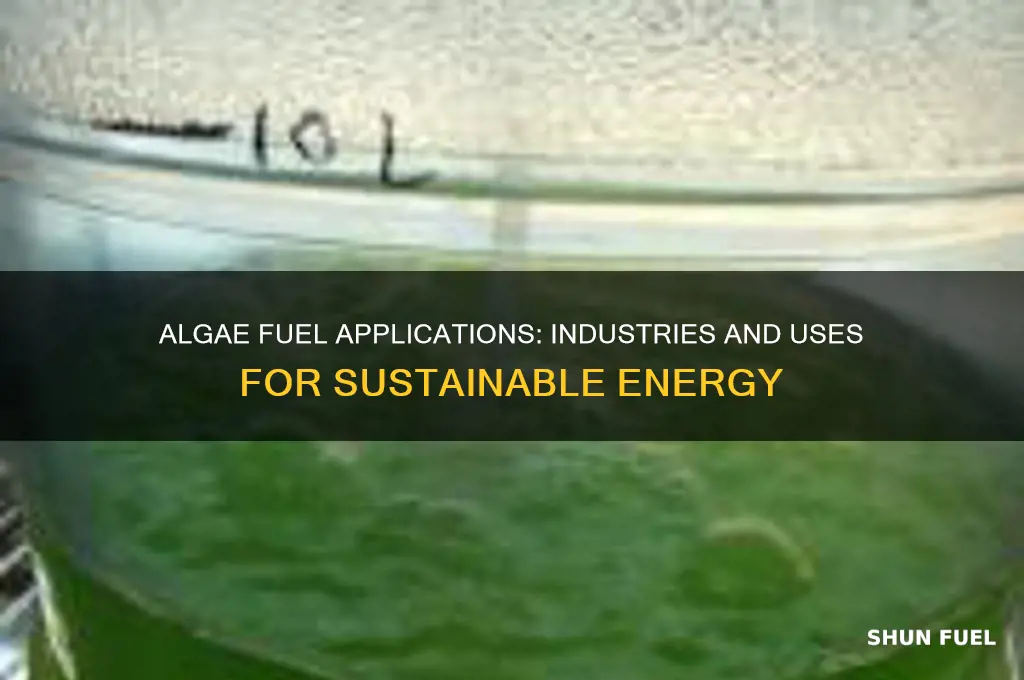 what do they use algee fuel in