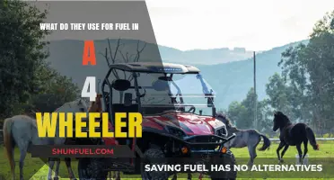 What Fuels Your Ride? Exploring 4-Wheeler Fuel Types and Uses