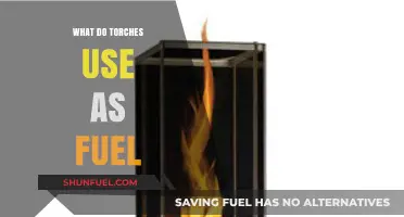 What Fuel Powers Torches: Exploring Energy Sources for Portable Light