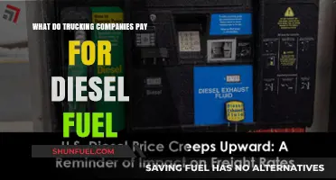 Trucking Companies' Diesel Fuel Costs: An Overview