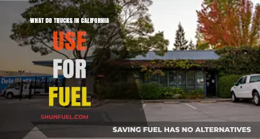 California's Truck Fuel Choices: Diesel, Gas, and Alternative Options Explained