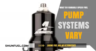 How Variable Speed Fuel Pump Systems Adjust Fuel Delivery for Efficiency