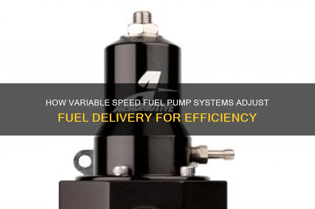 what do variable speed fuel pump systems vary