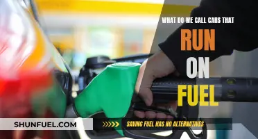 The Evolution of Cars: Fuel-Powered Vehicles