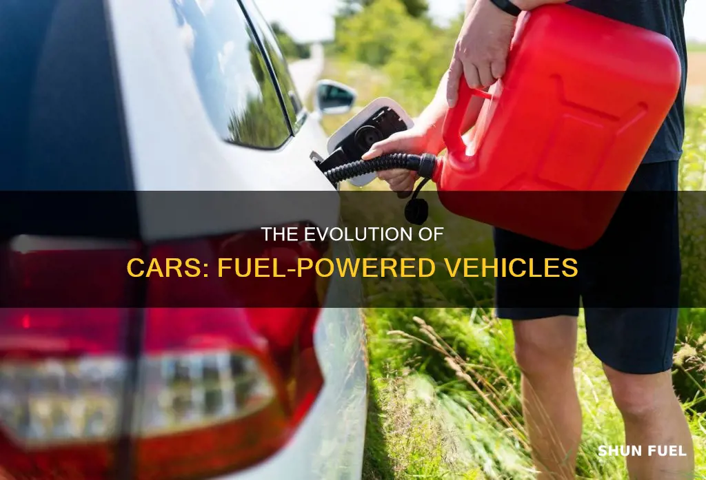 what do we call cars that run on fuel