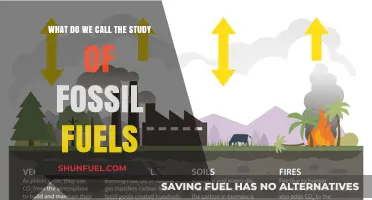 Exploring the Science Behind Fossil Fuels: What’s the Study Called?