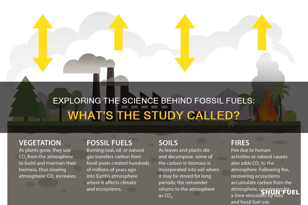 what do we call the study of fossil fuels