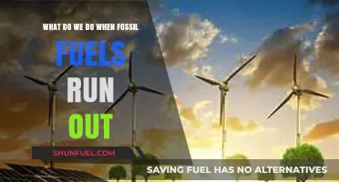 Beyond Fossil Fuels: Preparing for a Sustainable Energy Future