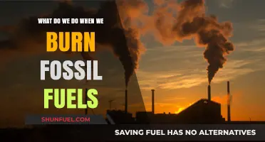 Burning Fossil Fuels: Consequences, Climate Impact, and Sustainable Alternatives