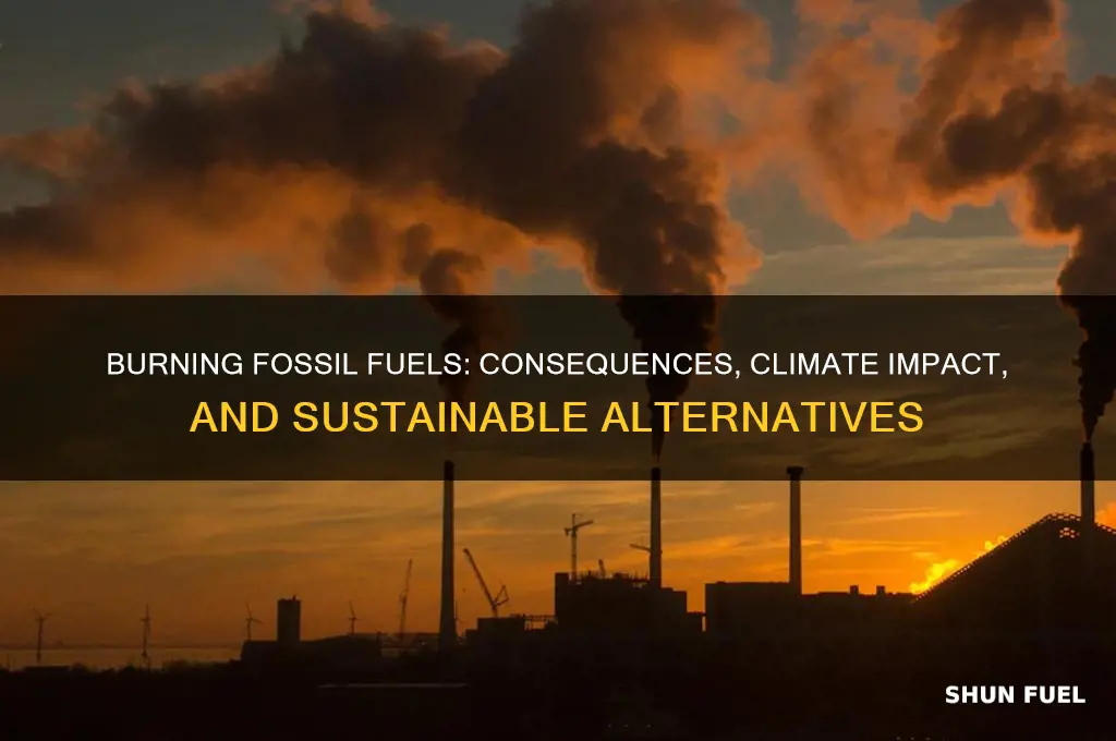 what do we do when we burn fossil fuels