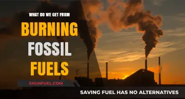 Burning Fossil Fuels: Energy, Emissions, and Environmental Consequences Explained