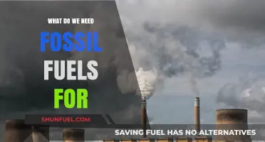 Why Fossil Fuels Remain Essential in Today’s Energy Landscape