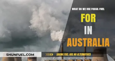 Australia's Fossil Fuel Uses: Energy, Industry, and Beyond Explained