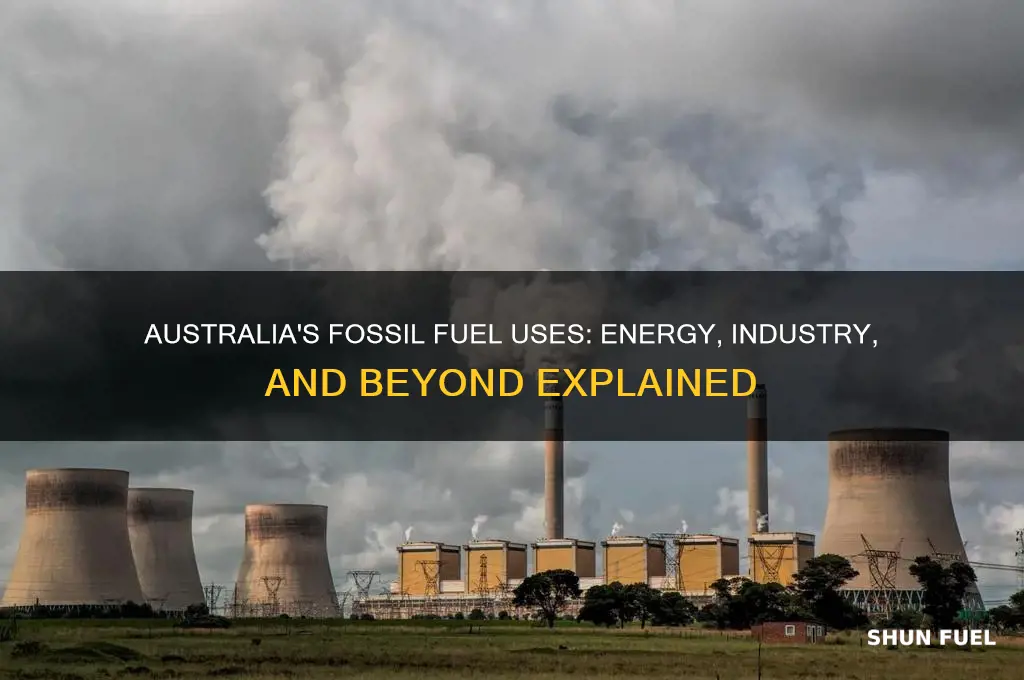 what do we use fossil fuel for in australia