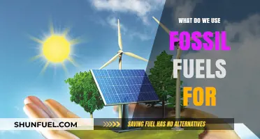 Fossil Fuels: Powering Our World, But For How Long?