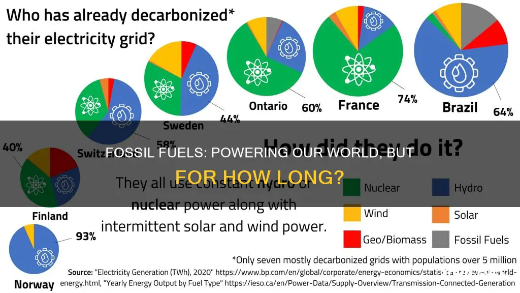 what do we use fossil fuels for