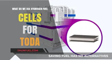 Hydrogen Fuel Cells: Today's Applications and Real-World Uses Explained