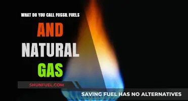 Fossil Fuels and Natural Gas: Understanding Their Names and Nature