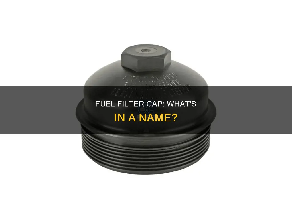 what do you call the cover of fuel filter