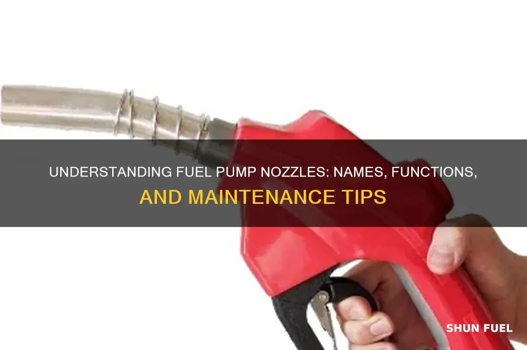 what do you call the fuel pump nozzles