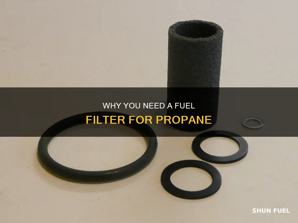 what do you need a fuel filter for propane