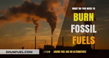 Essential Components for Burning Fossil Fuels: A Comprehensive Guide