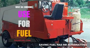 What Fuel Powers Zambonis: Uncovering the Ice Resurfacer's Energy Source