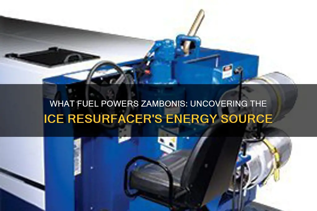 what do zambonis use for fuel