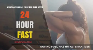 Muscle Fuel Sources: What Powers Your Body After 24-Hour Fast?
