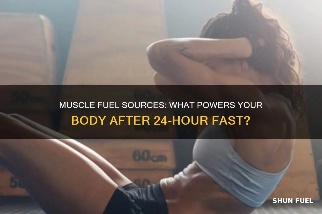 what doe smuscle use for fuel after 24 hour fast