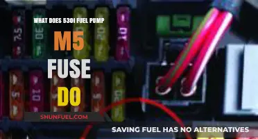 Understanding the Role of the M5 Fuse in 530i Fuel Pump Functionality