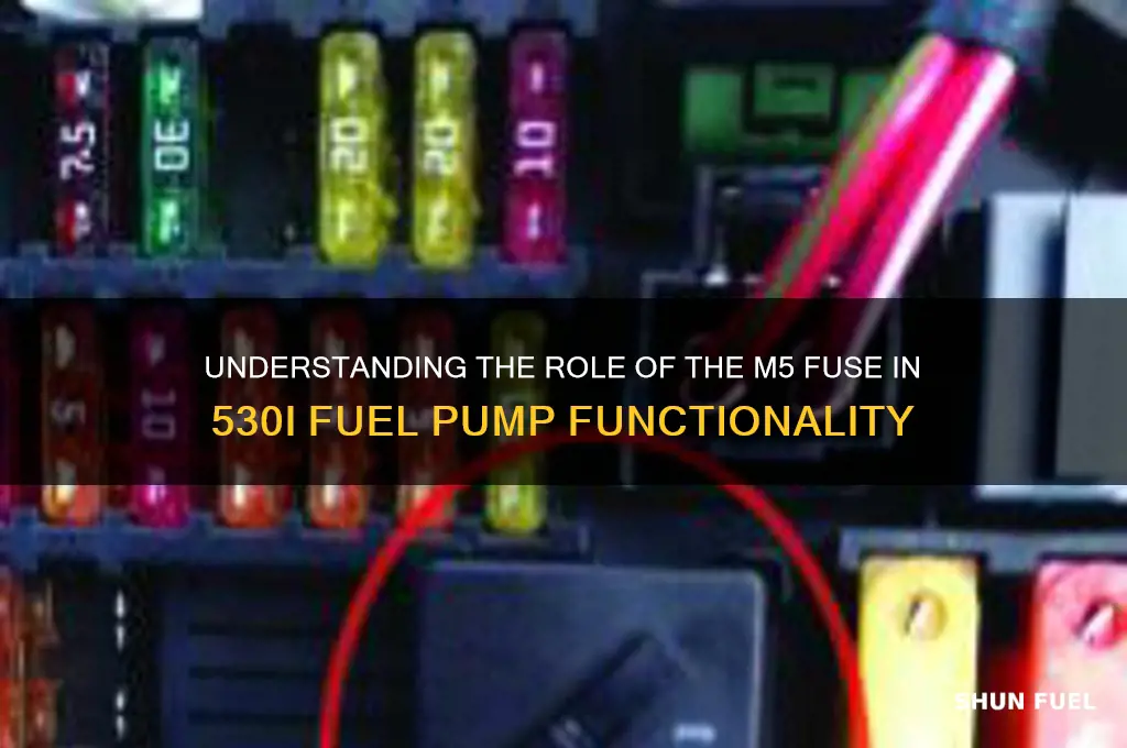 what does 530i fuel pump m5 fuse do