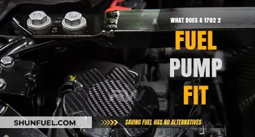 Fuel Pump Compatibility: Vehicles That Fit a 1702 2 Model