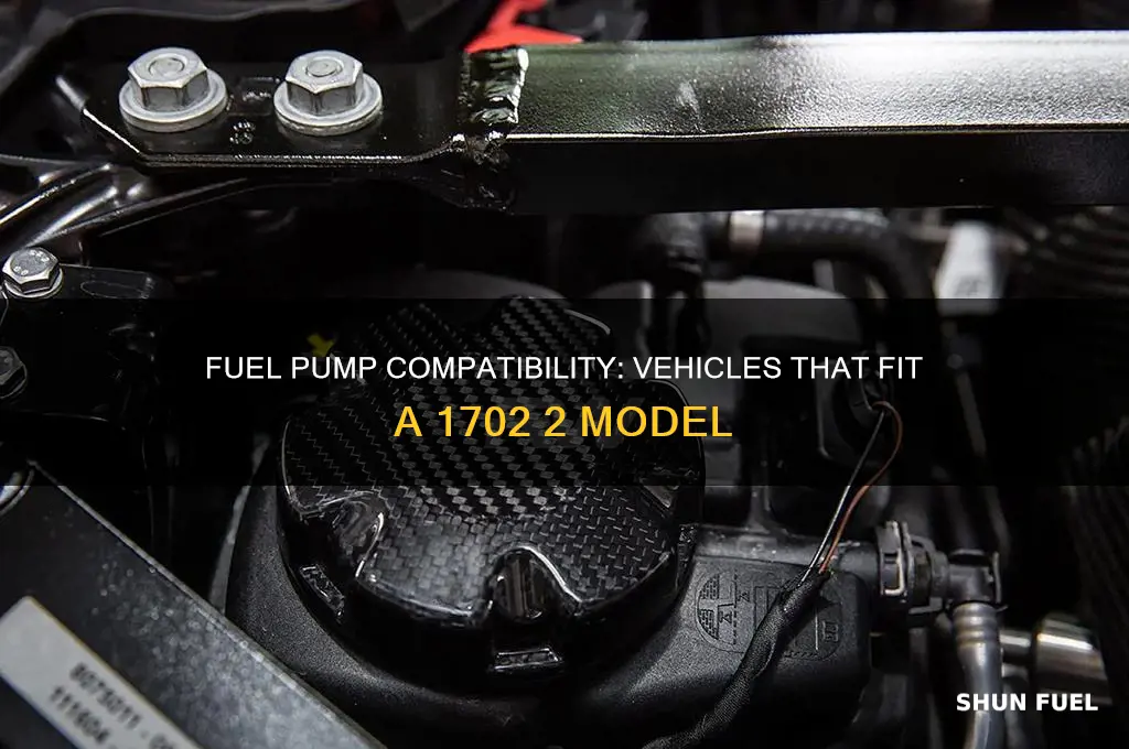 what does a 1702 2 fuel pump fit