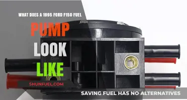 1995 Ford F150 Fuel Pump: Visual Guide and Identification Tips