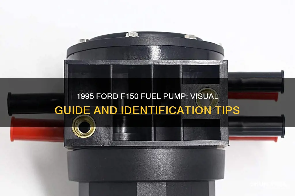 what does a 1995 ford f150 fuel pump look like