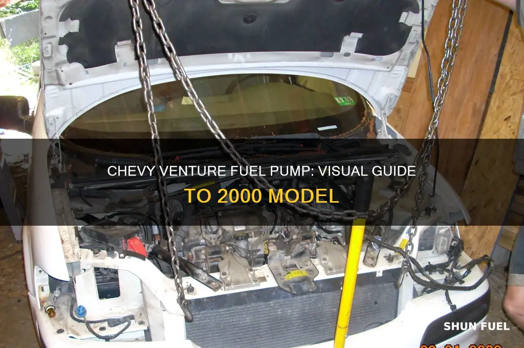 what does a 2000 chevy venture fuel pump look like