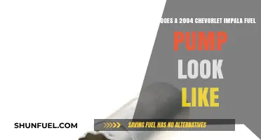 Visual Guide to Identifying a 2004 Chevrolet Impala Fuel Pump