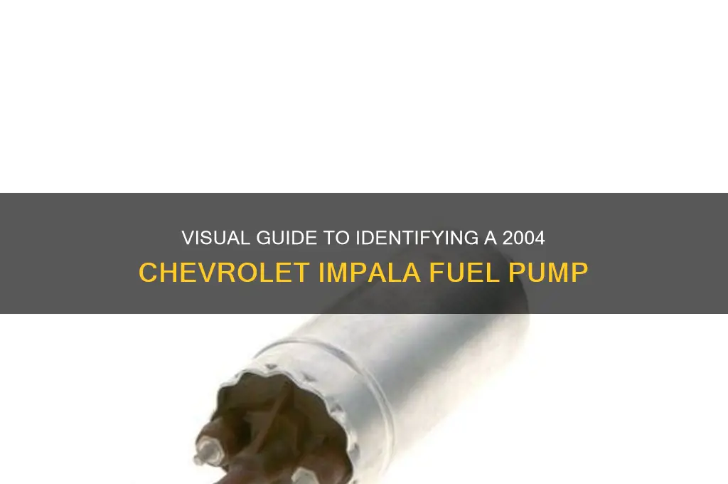 what does a 2004 chevorlet impala fuel pump look like