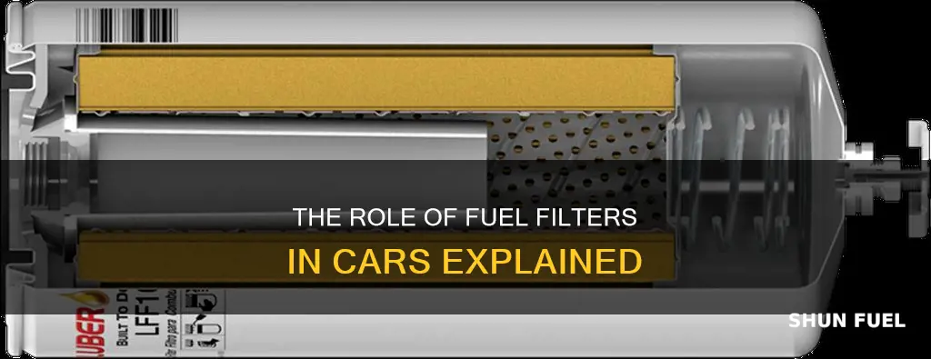 what does a car fuel filter do