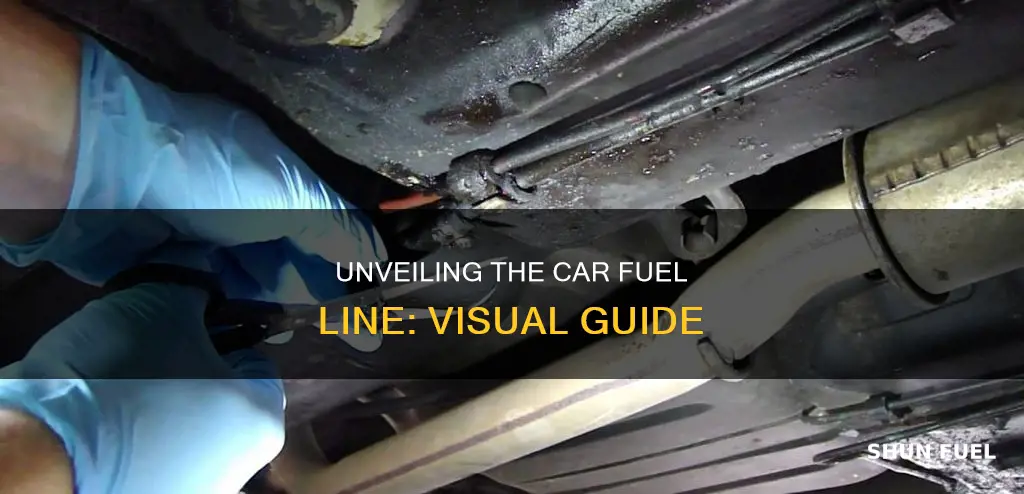 what does a car fuel line look like