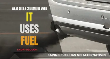 Cars' Fuel Consumption: What's Really Being Emitted?
