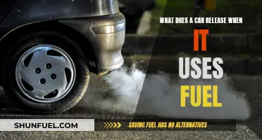 Cars' Fuel Consumption: Emissions and Energy Release